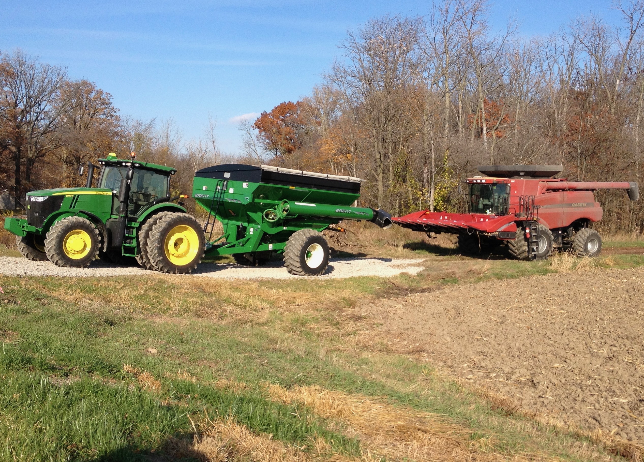Combine Harvesting Corn